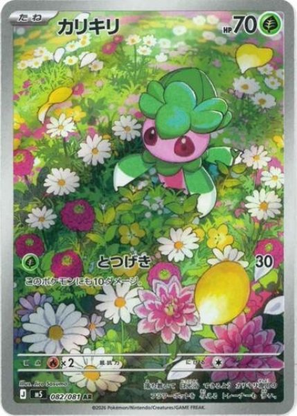カリキリ（M5 082/081 AR） 状態A
