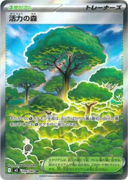活力の森（M3 109/080 SR） 状態B