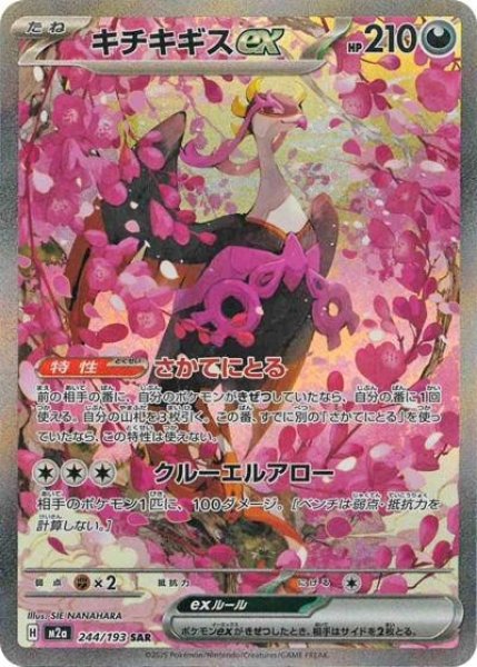 画像1: キチキギスex（M2a 244/193 SAR） 状態A (1)